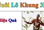 Cách nuôi lô khung 3N hiệu quả