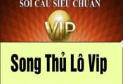 Khái niệm song thủ lô VIP