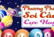 Tổng quan và cách bắt tổng đặc biệt