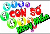 Con số nào là con số may mắn để bao lô