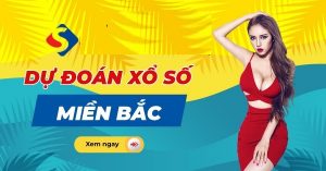 Dự đoán xổ số 16/12