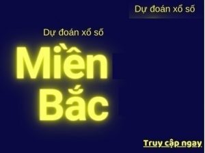 Dự đoán xổ số 21/12